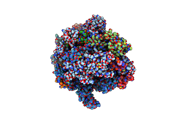 6O6C image
