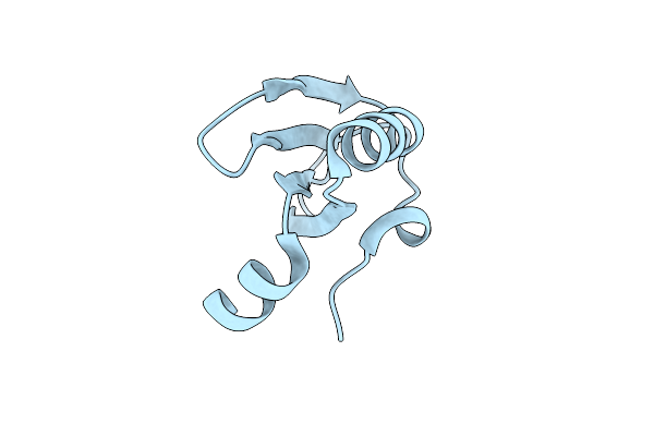 6O6D image