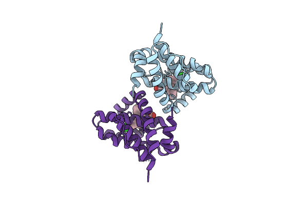 6O6F image