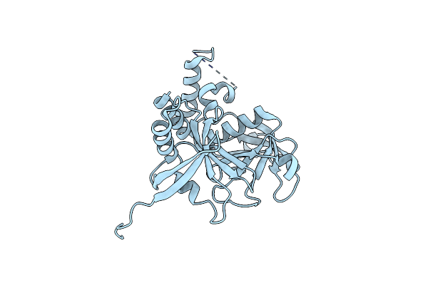 6O6H image