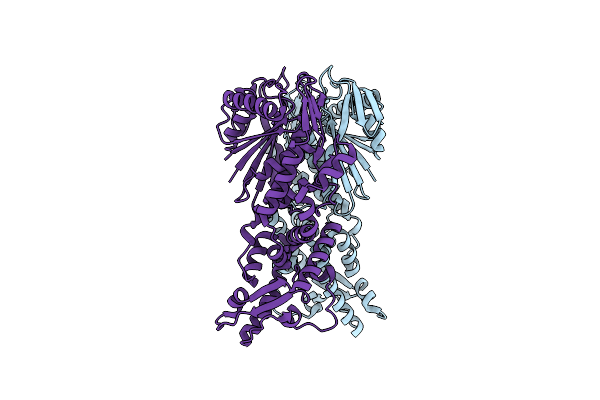 6O6S image