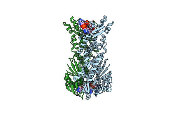 6O6V image