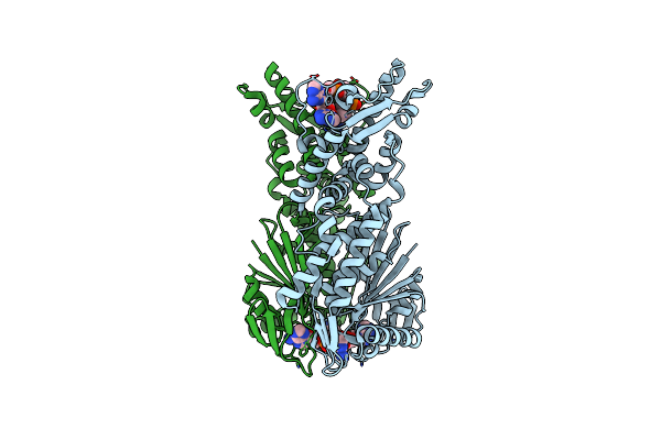 6O71 image
