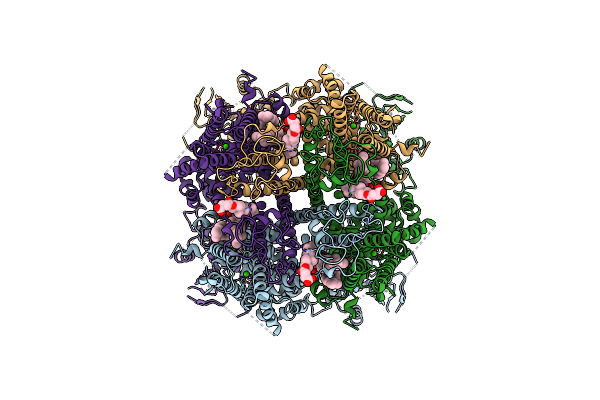 6O77 image
