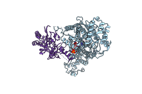 6O7D image