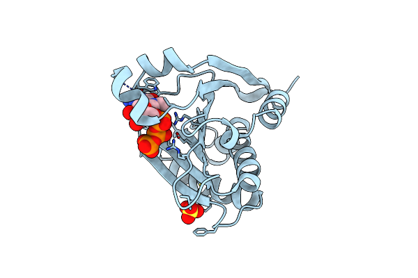 6O80 image
