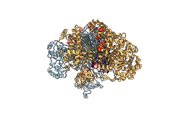 6O82 image