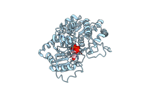 6O86 image
