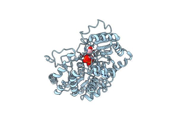 6O87 image