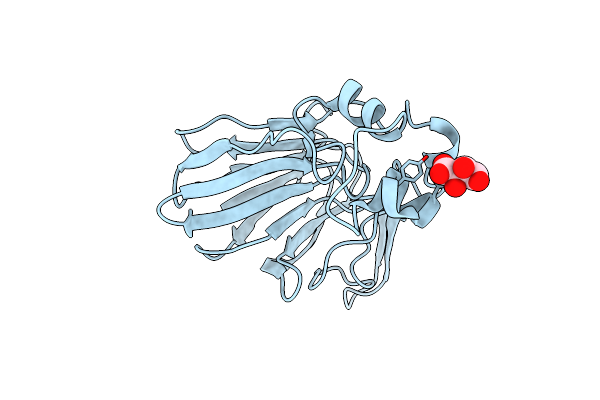 6O8A image