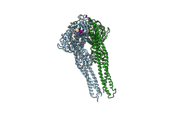 6O8B image