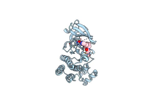 6O8I image