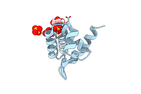 6O8K image