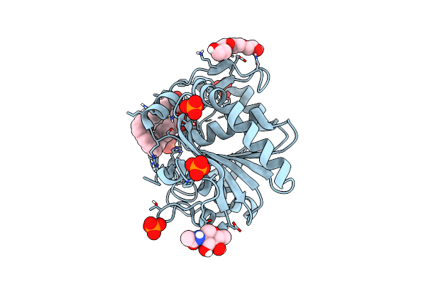 6O8V image