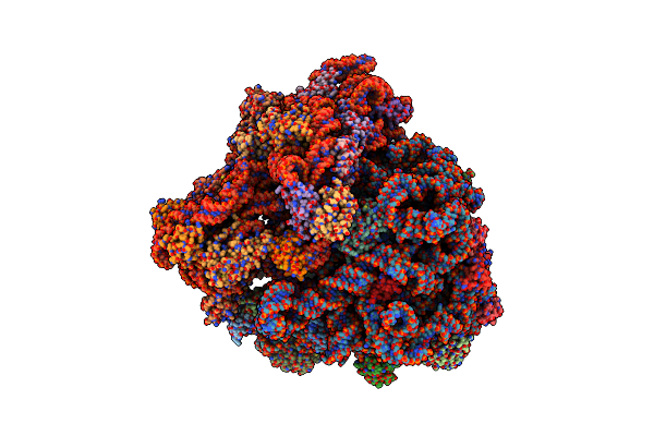6O8W image