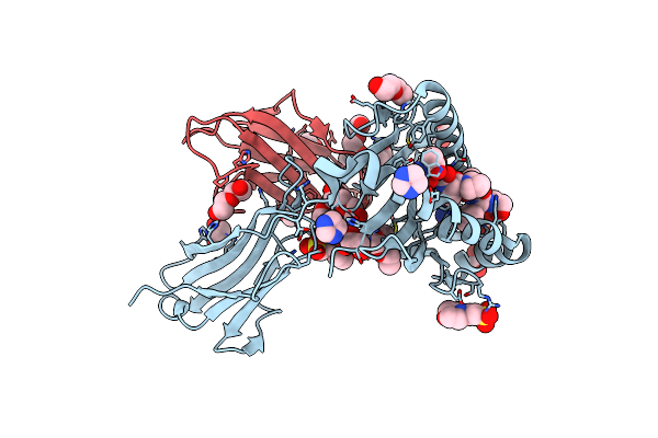 6O9B image
