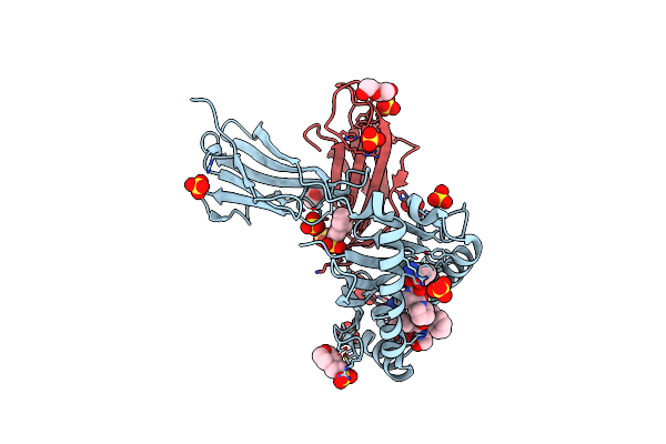 6O9C image