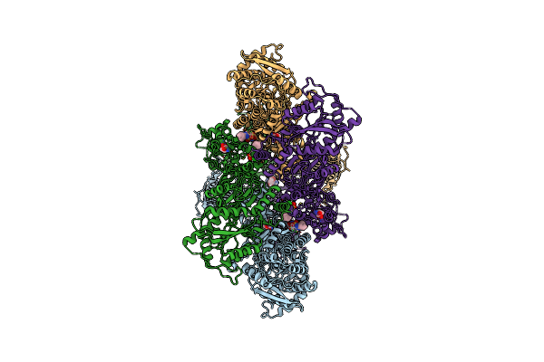 6O9G image