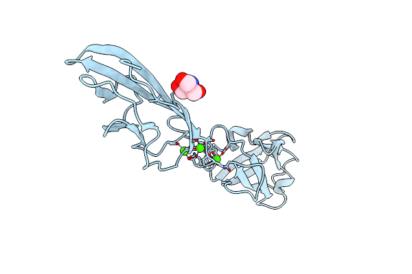 6OAE image