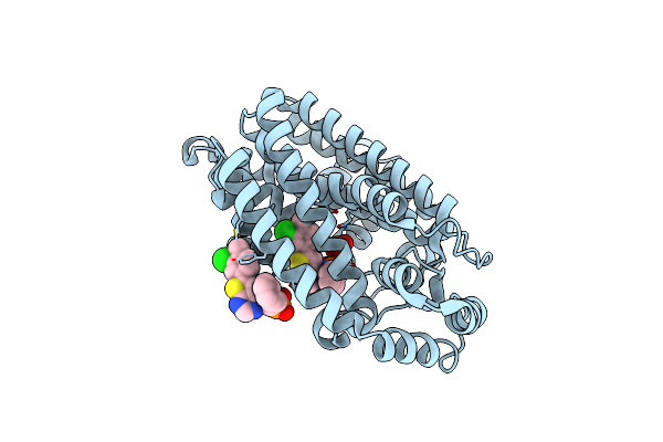 6OAG image