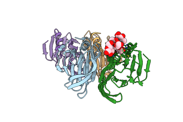 6OAI image