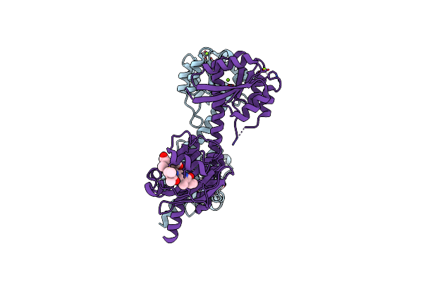 6OB8 image