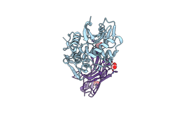 6OBC image