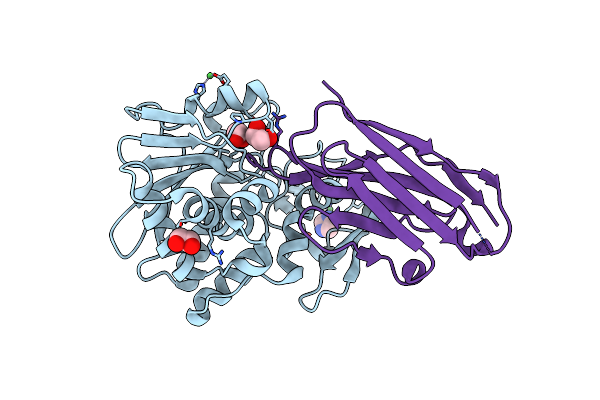 6OBE image