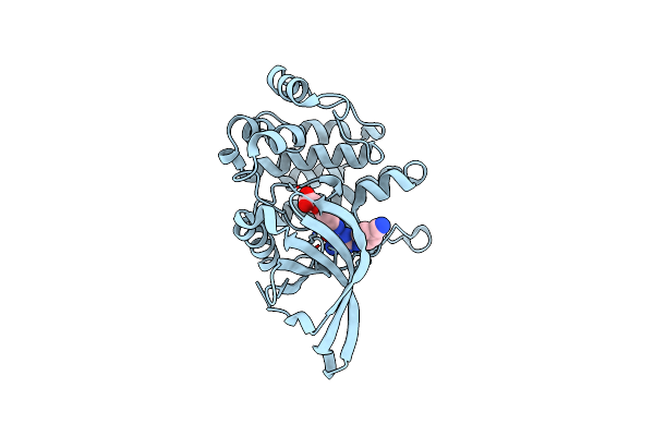 6OBL image