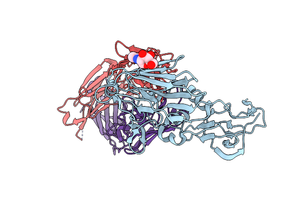 6OCB image