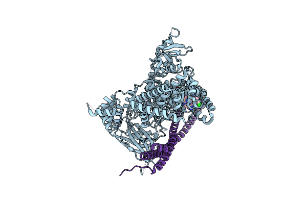 6OCO image