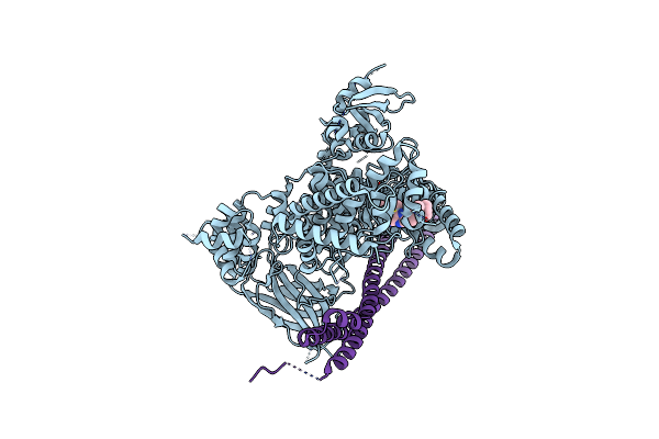 6OCU image