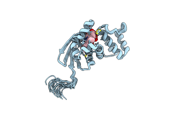 6OCV image