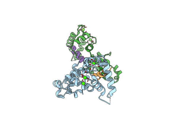 6OD0 image