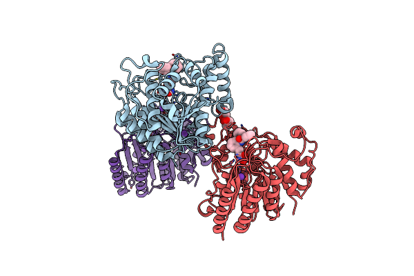 6ODB image