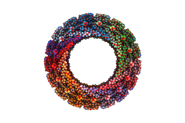 6ODJ image