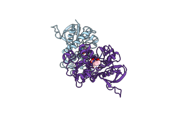 6ODL image