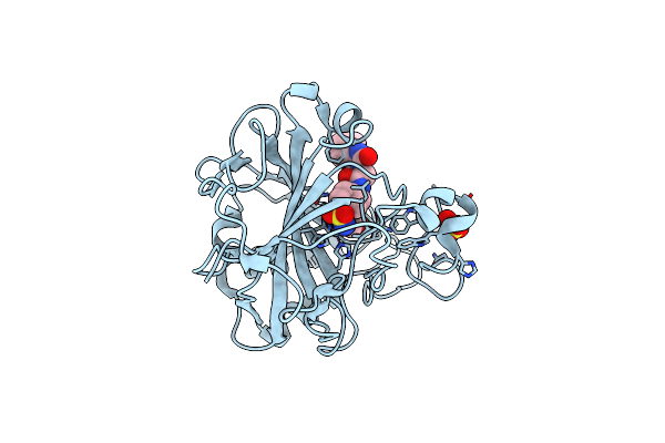 6OE1 image
