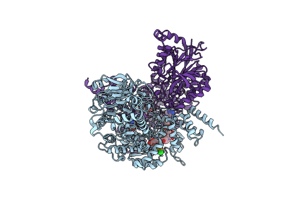 6OFB image