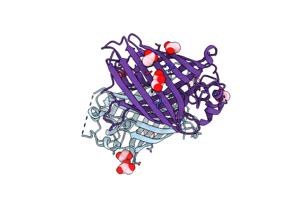 6OGB image