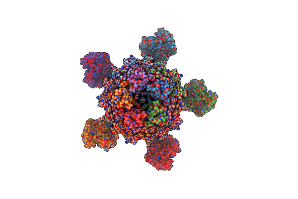 6OGD image