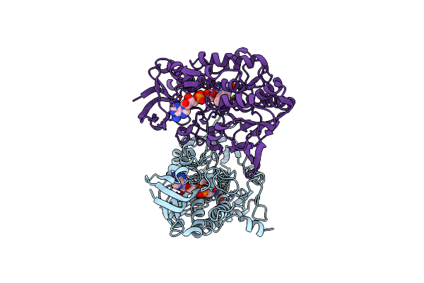 6OI5 image