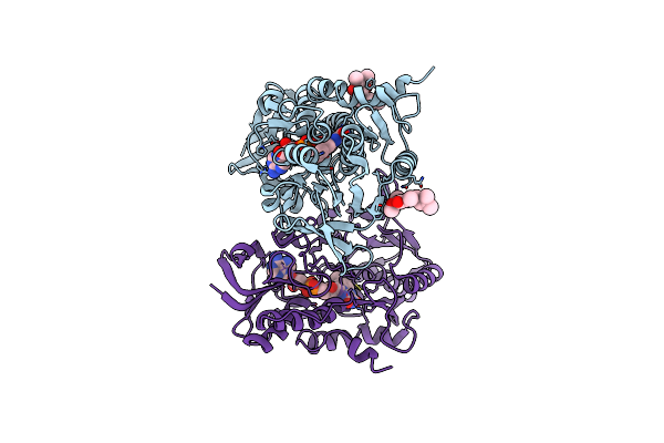 6OI6 image