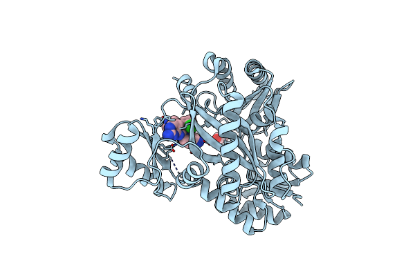 6OI8 image