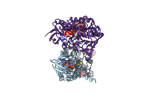 6OIB image
