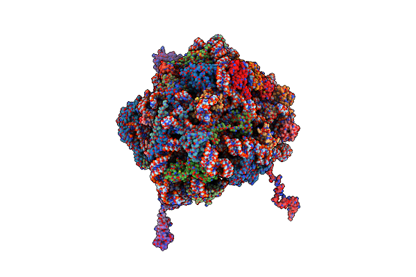 6OIG image