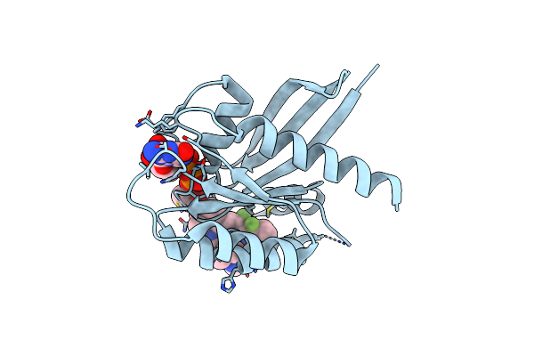 6OIM image