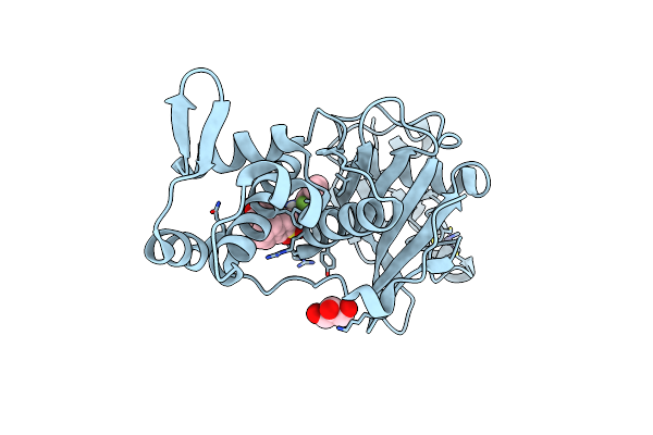 6OIP image