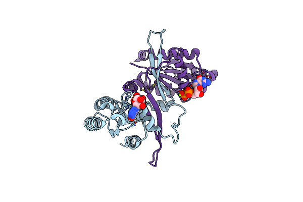 6OJE image