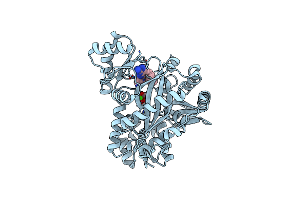 6OJH image